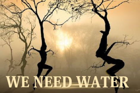 Trees need water