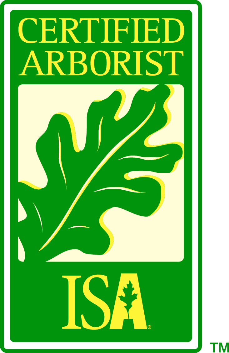 certified arborist on staff